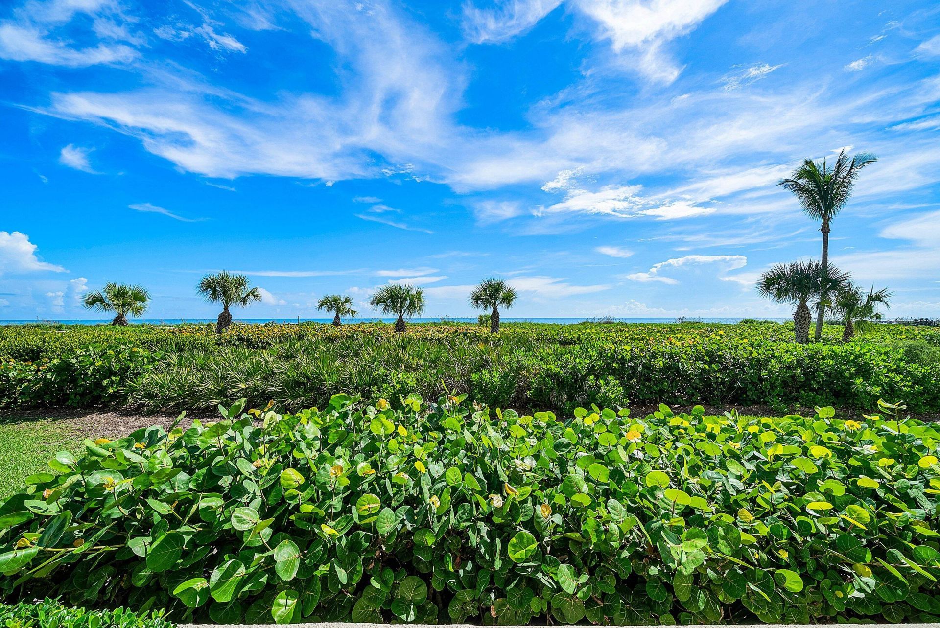 3001 SE Island Point Lane, Unit 12, Stuart, FL 34996 Photo