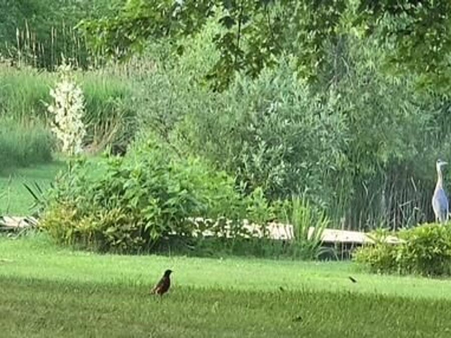 Property Image 55