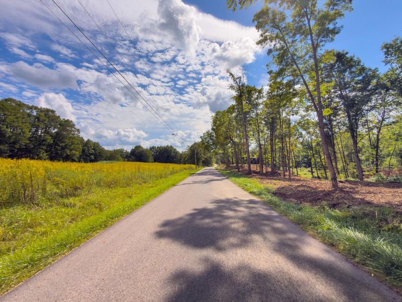 6891 County Road 109, Mount Gilead, OH 43338 Photo 10