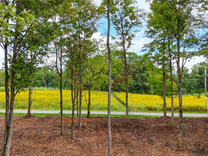 6891 County Road 109, Mount Gilead, OH 43338 Photo 22