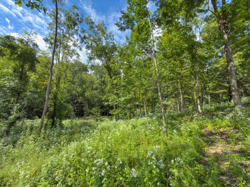 6891 County Road 109, Mount Gilead, OH 43338 Photo 23