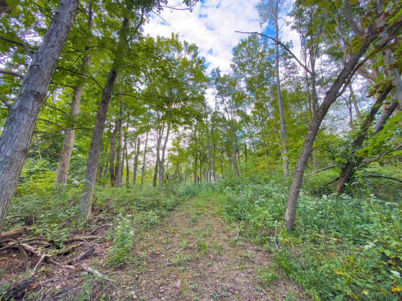 6891 County Road 109, Mount Gilead, OH 43338 Photo 24