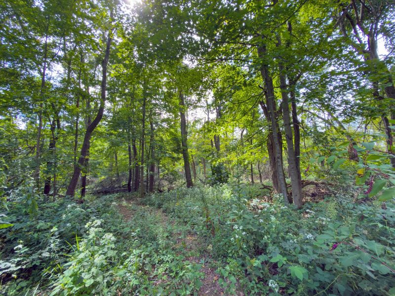 6891 County Road 109, Mount Gilead, OH 43338 Photo 25