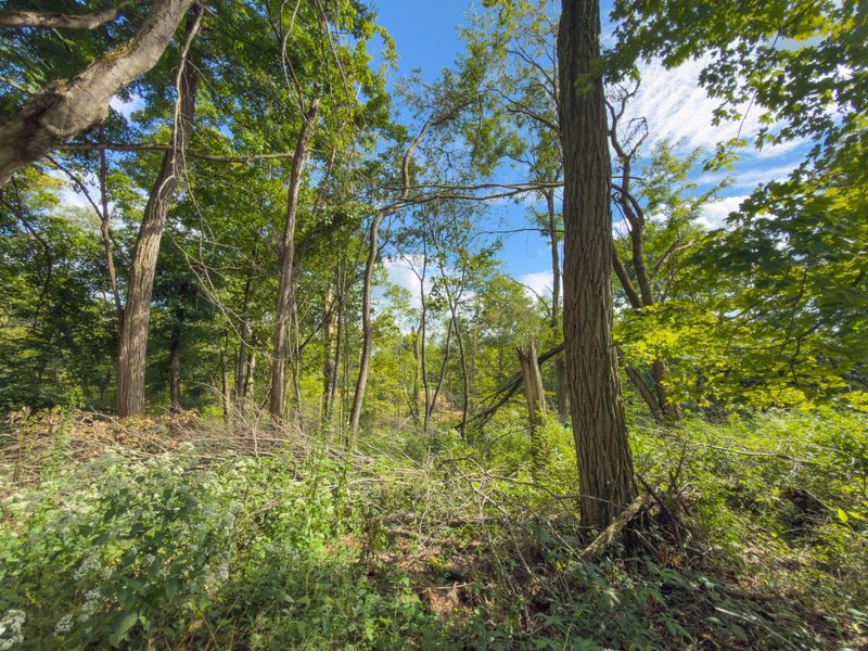 6891 County Road 109, Mount Gilead, OH 43338 Photo 26
