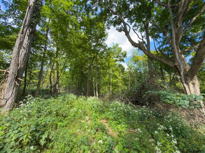 6891 County Road 109, Mount Gilead, OH 43338 Photo 27
