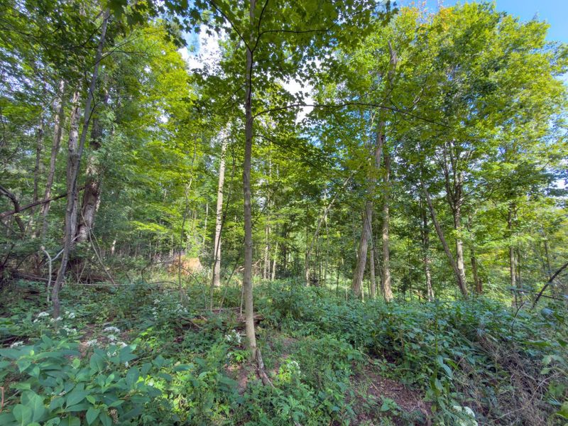 6891 County Road 109, Mount Gilead, OH 43338 Photo 29