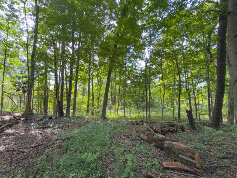 6891 County Road 109, Mount Gilead, OH 43338 Photo 30