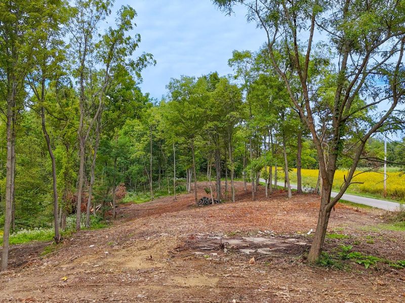 6891 County Road 109, Mount Gilead, OH 43338 Photo 4