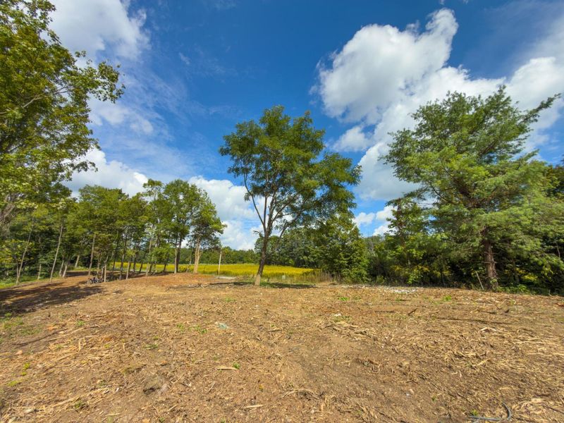 6891 County Road 109, Mount Gilead, OH 43338 Photo 5