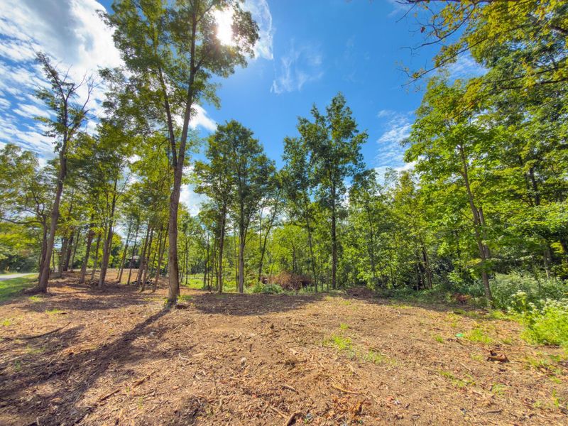 6891 County Road 109, Mount Gilead, OH 43338 Photo 6