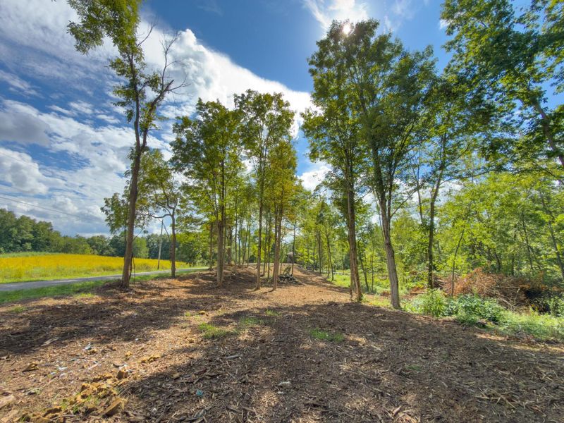 6891 County Road 109, Mount Gilead, OH 43338 Photo 7