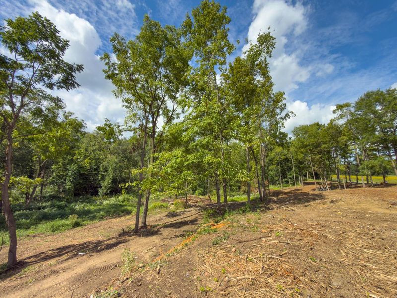 6891 County Road 109, Mount Gilead, OH 43338 Photo 9
