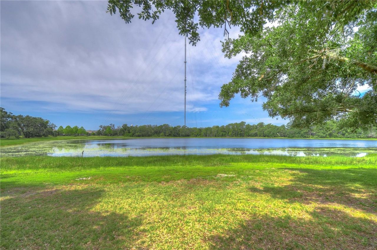 5817 Caldera Ridge Drive , Lithia, FL 33547 Photo