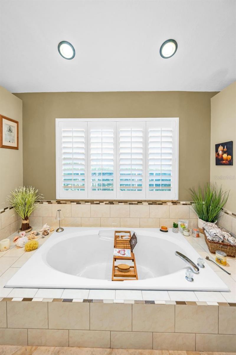 1234 Arlinbrook Drive, Trinity, FL 34655 Photo