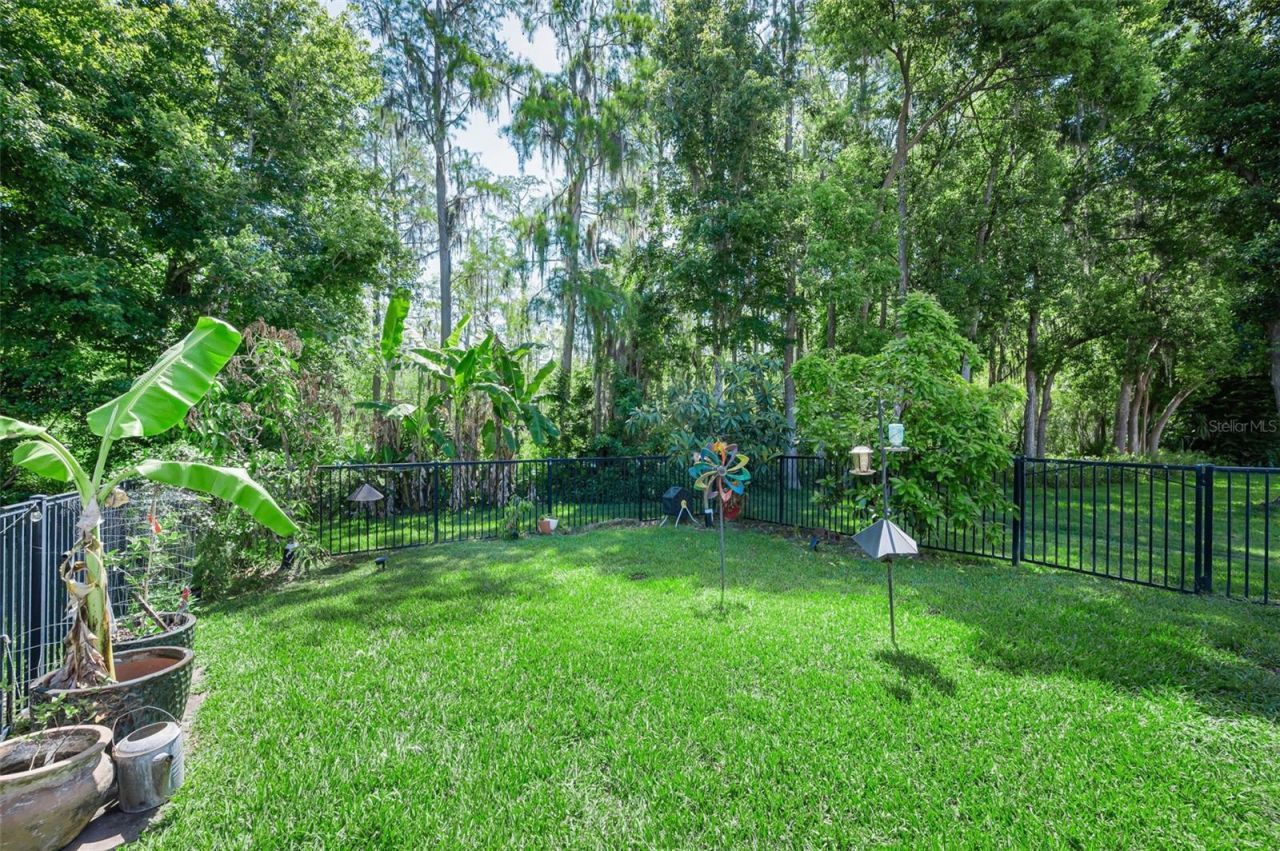 1234 Arlinbrook Drive, Trinity, FL 34655 Photo