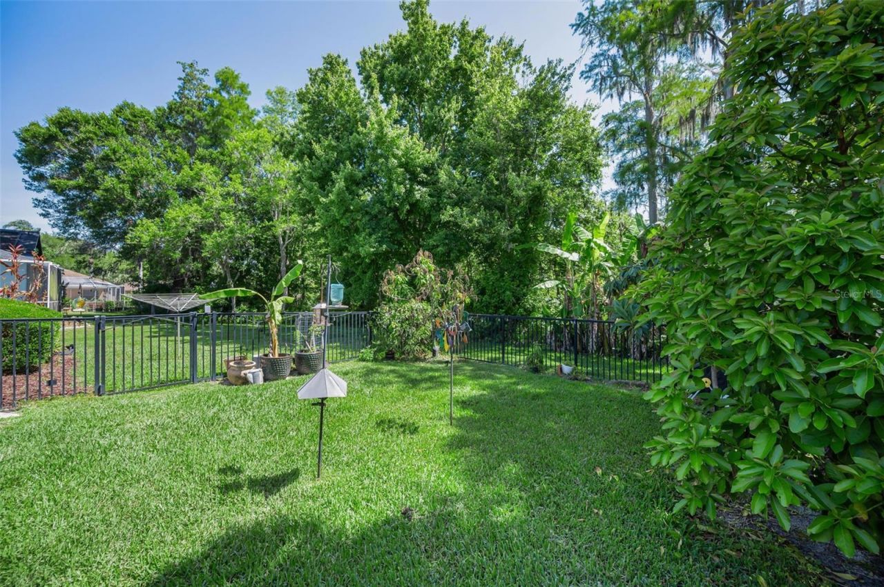 1234 Arlinbrook Drive, Trinity, FL 34655 Photo