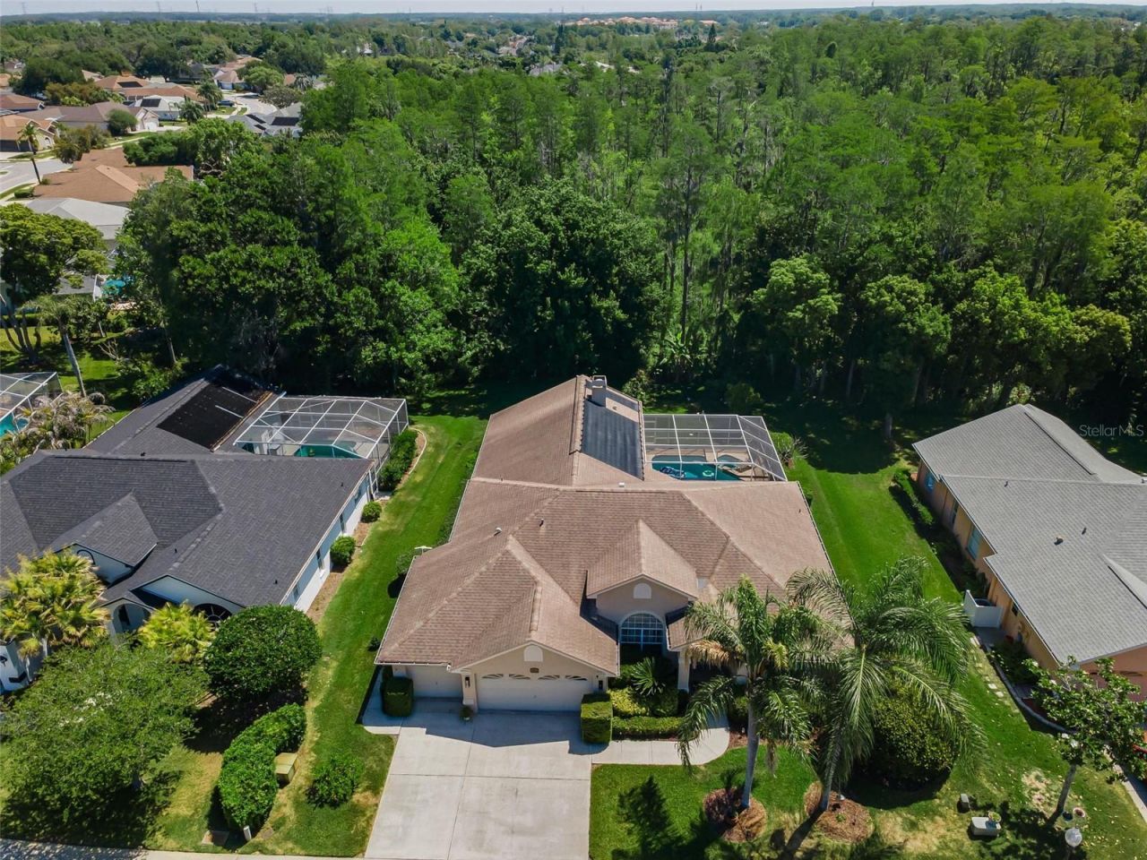 1234 Arlinbrook Drive, Trinity, FL 34655 Photo