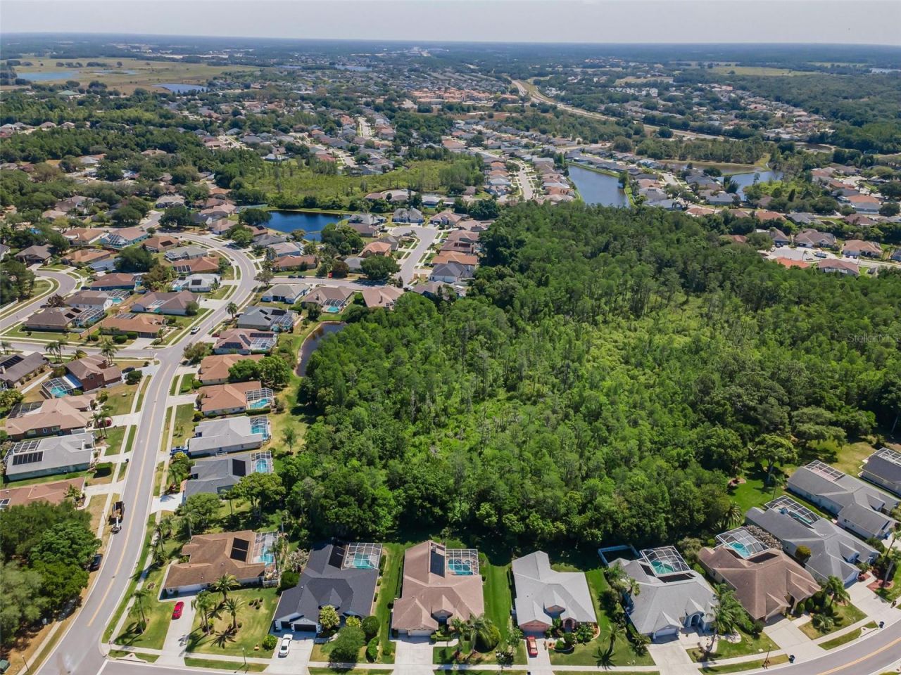 1234 Arlinbrook Drive, Trinity, FL 34655 Photo