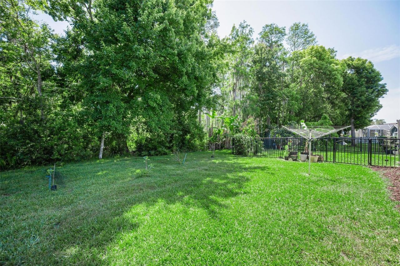1234 Arlinbrook Drive, Trinity, FL 34655 Photo