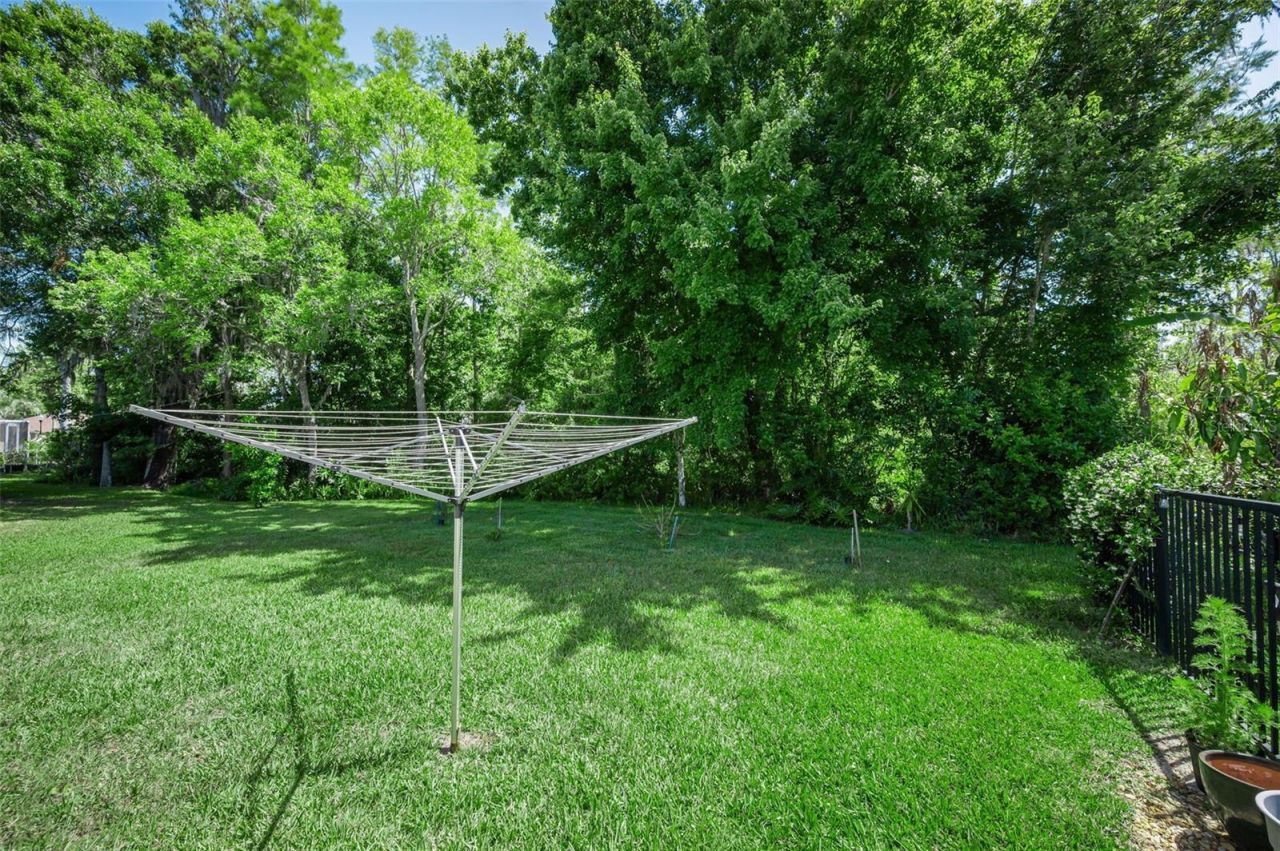 1234 Arlinbrook Drive, Trinity, FL 34655 Photo