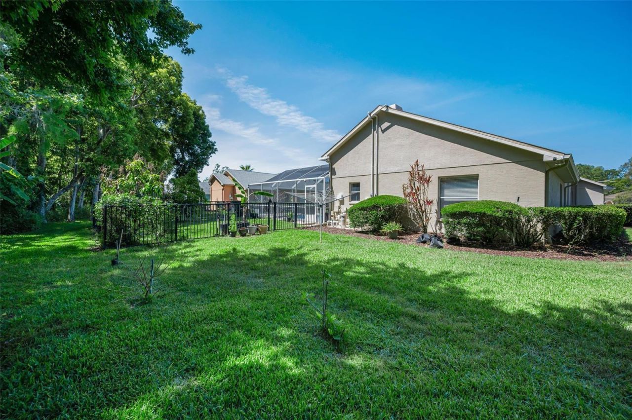 1234 Arlinbrook Drive, Trinity, FL 34655 Photo