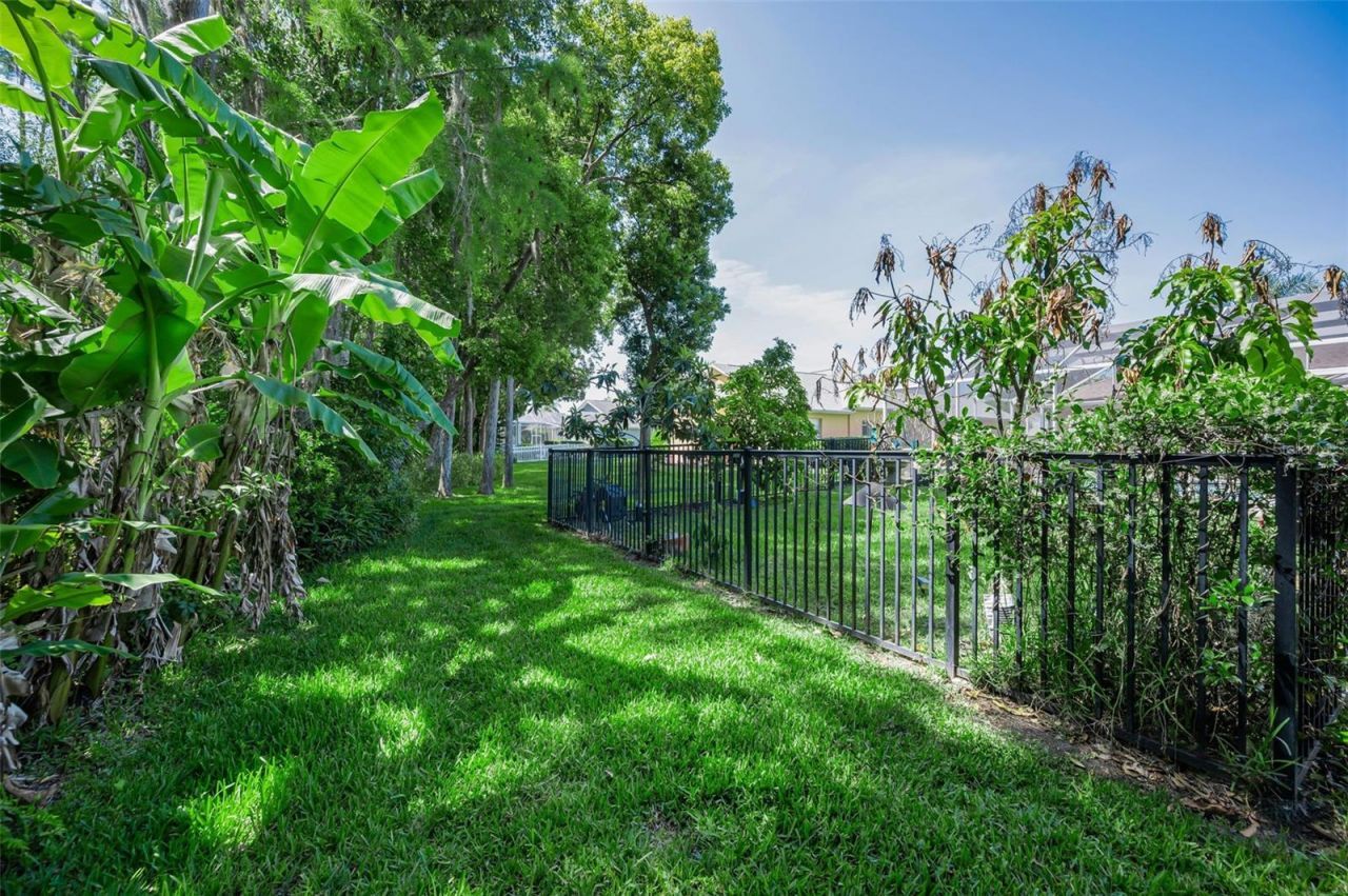 1234 Arlinbrook Drive, Trinity, FL 34655 Photo