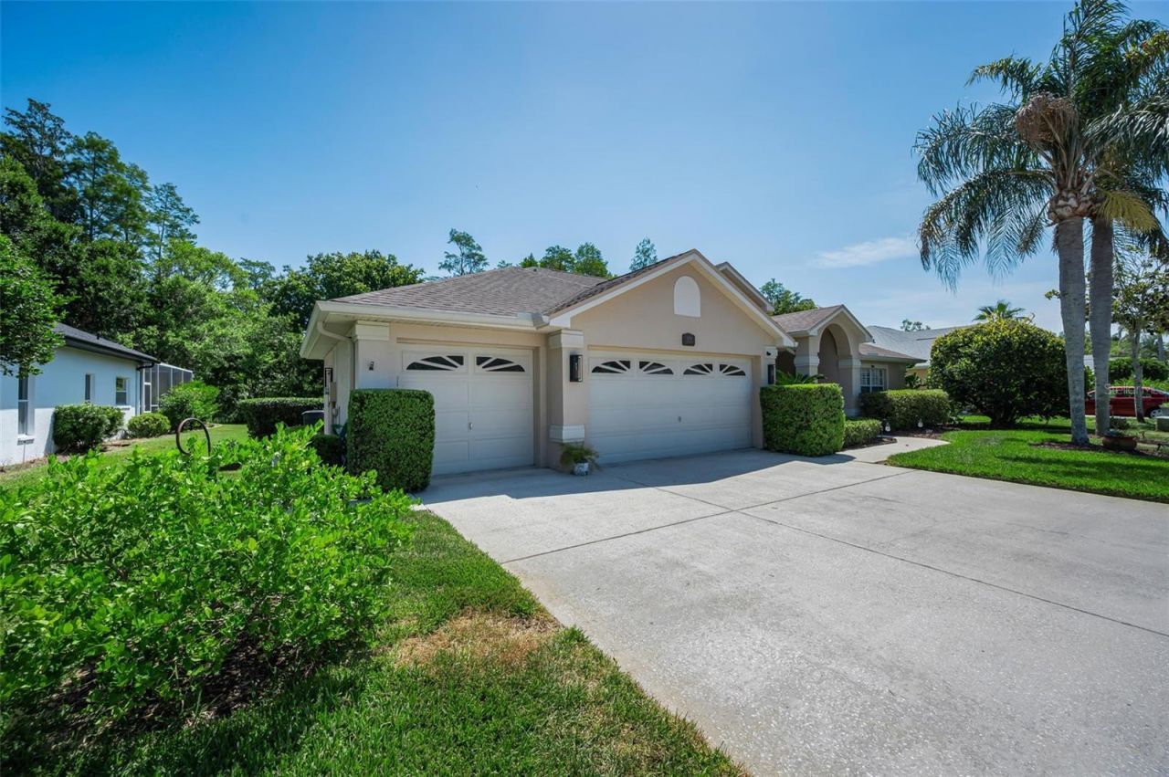 1234 Arlinbrook Drive, Trinity, FL 34655 Photo