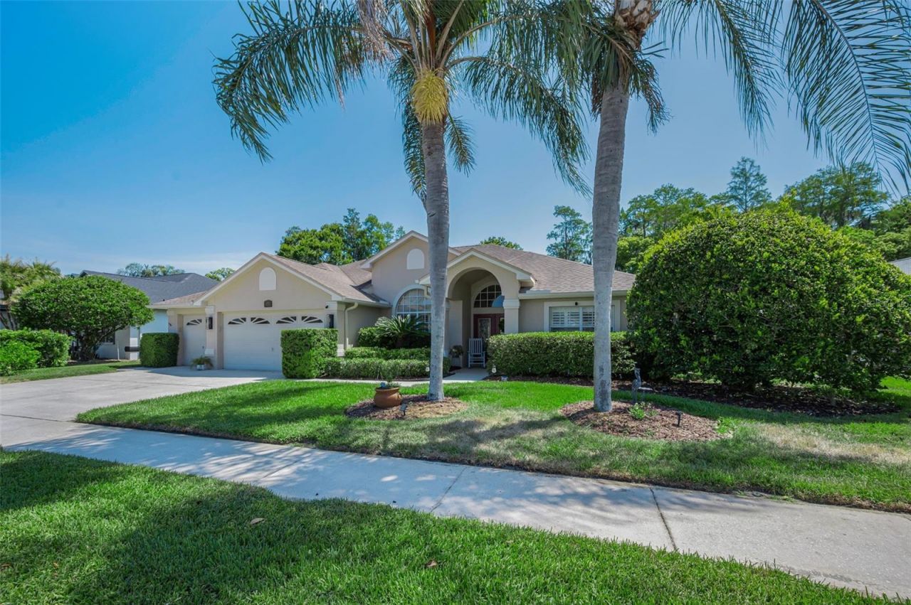 1234 Arlinbrook Drive, Trinity, FL 34655 Photo