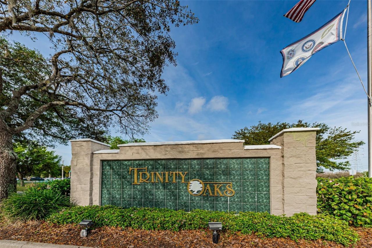 1234 Arlinbrook Drive, Trinity, FL 34655 Photo
