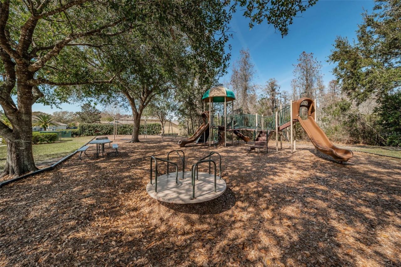 1234 Arlinbrook Drive, Trinity, FL 34655 Photo
