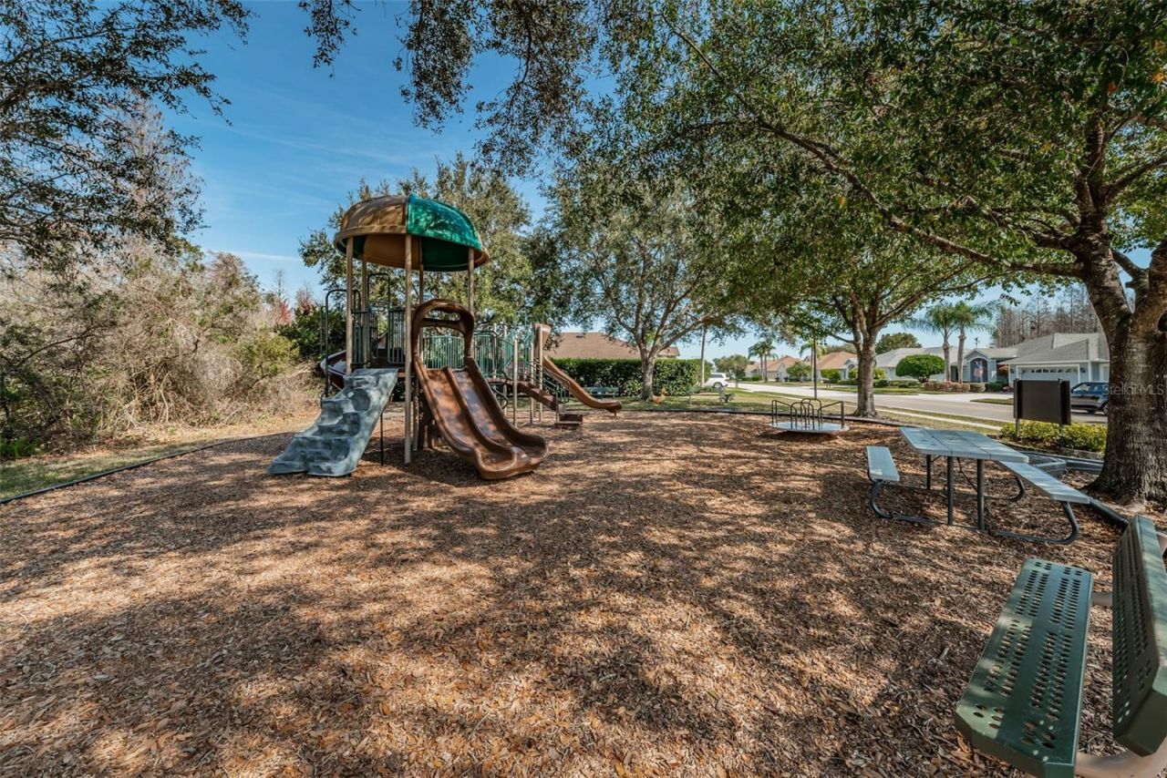 1234 Arlinbrook Drive, Trinity, FL 34655 Photo