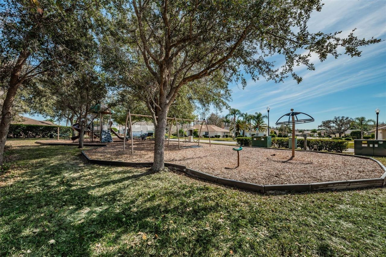 1234 Arlinbrook Drive, Trinity, FL 34655 Photo