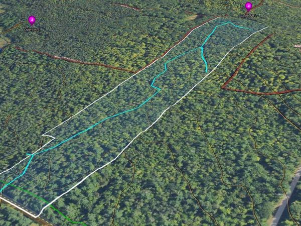 LOT 4 Smith Road, Couderay, WI 54828