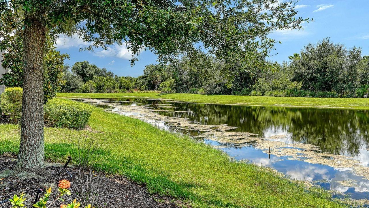 7997 Grande Shores Drive, Lakewood Ranch, FL 34240 Photo