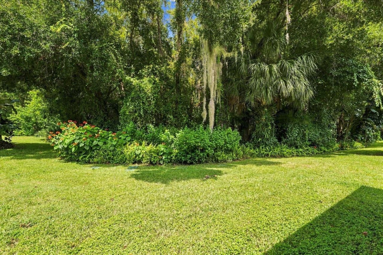 7629 Wimpole Drive, New Port Richey, FL 34655 Photo