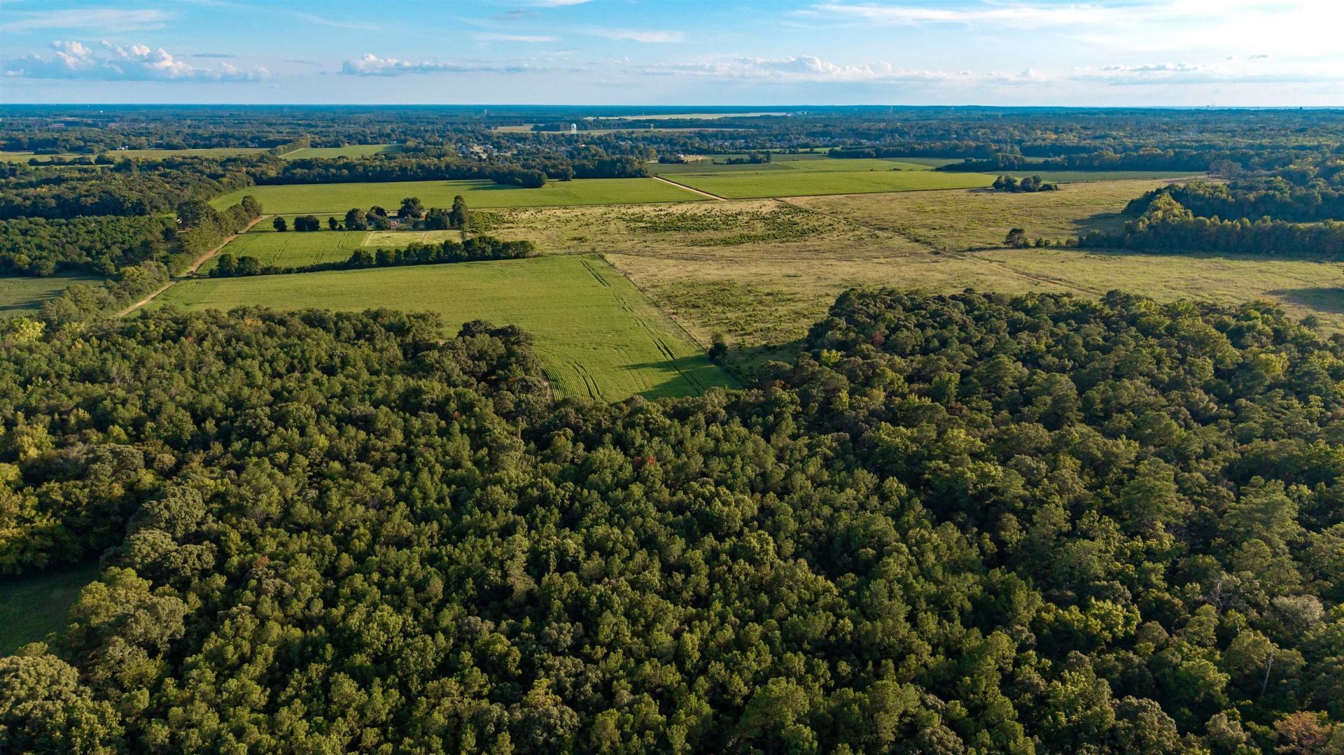 Tbd Peach Orchard Rd. Photo 12
