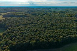 Tbd Peach Orchard Rd. photo 4