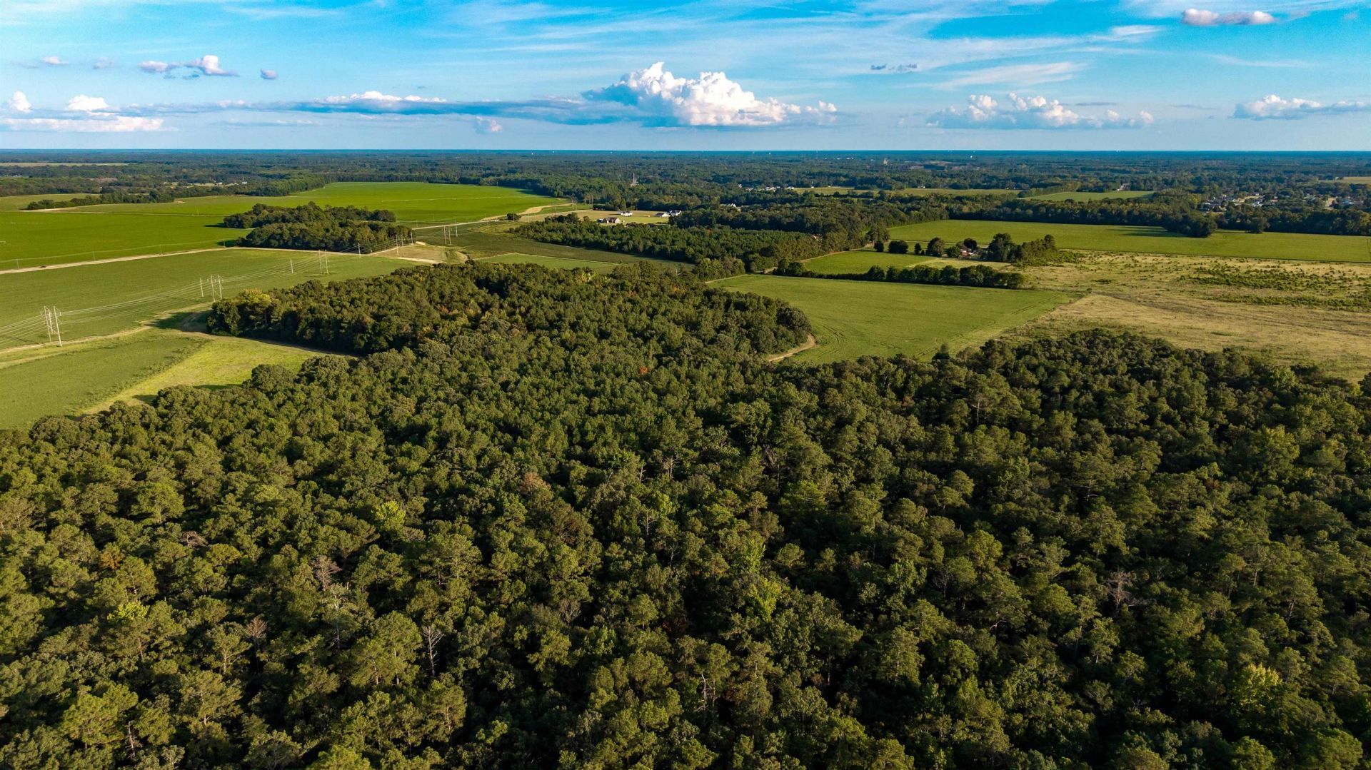 Tbd Peach Orchard Rd. Photo 6