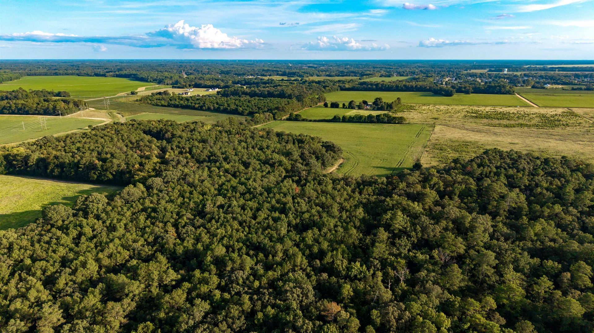 Tbd Peach Orchard Rd. Photo 7