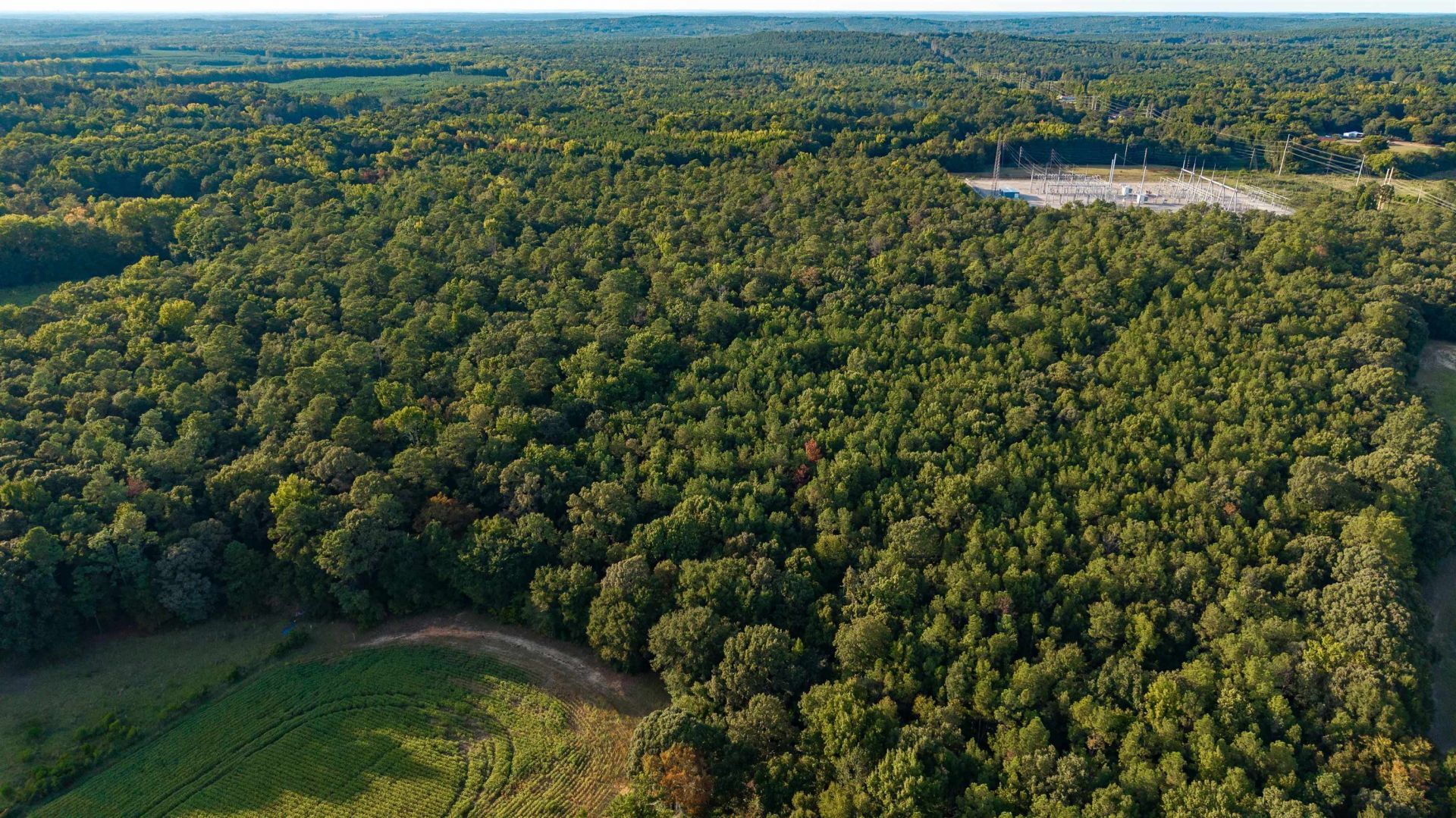 Tbd Peach Orchard Rd. Photo 9