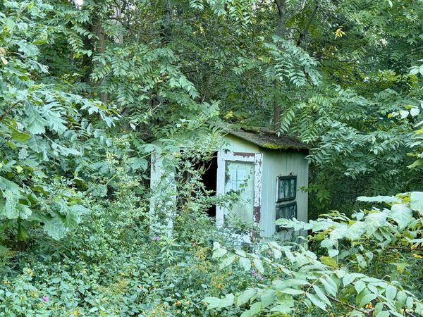 4050 Division Street, Wayland, MI 49348