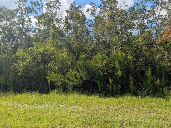 313 BOUGAINVILLE DRIVE , INDIAN LAKE ESTATES, FL 33855