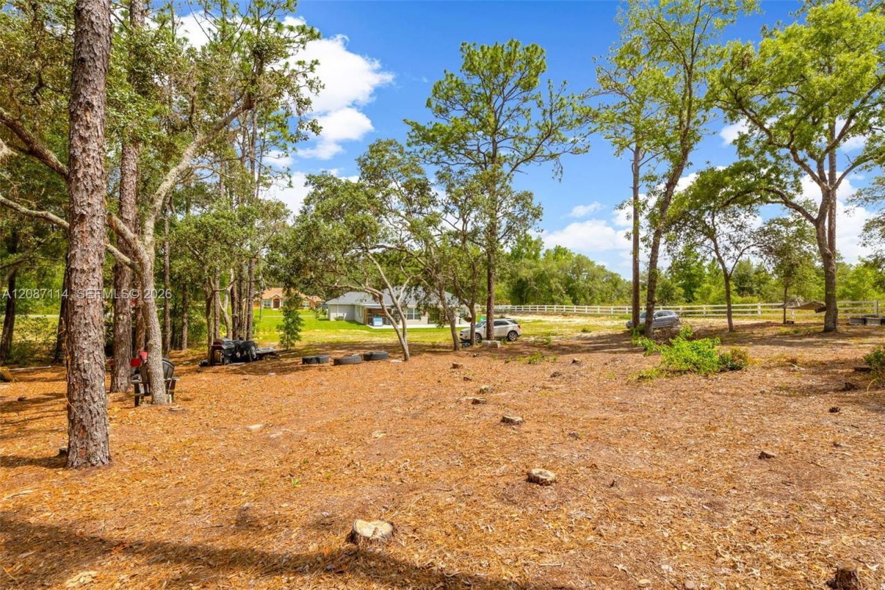 13822 SW 61 Pl Rd, Ocala, FL 34481 Photo