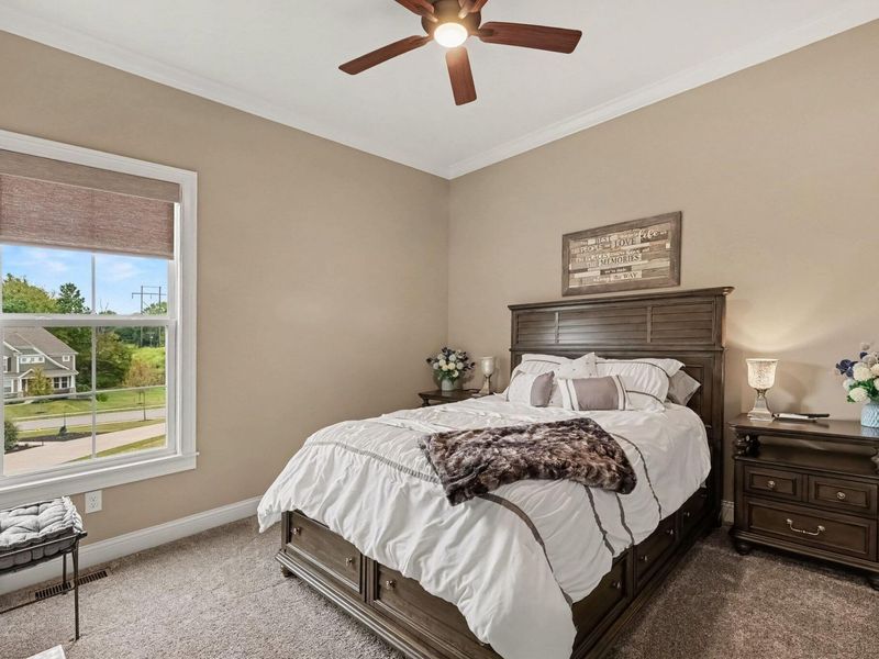651 Coaltown Court, Union, KY 41091 Photo 22