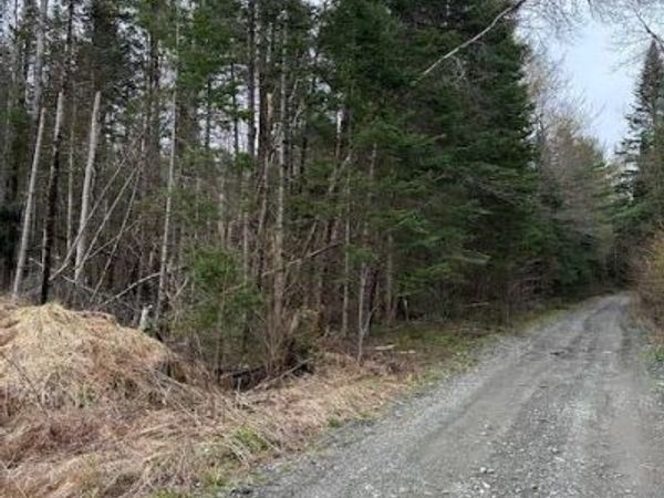 3 Brimstone Road Road , Lagrange, ME 04453