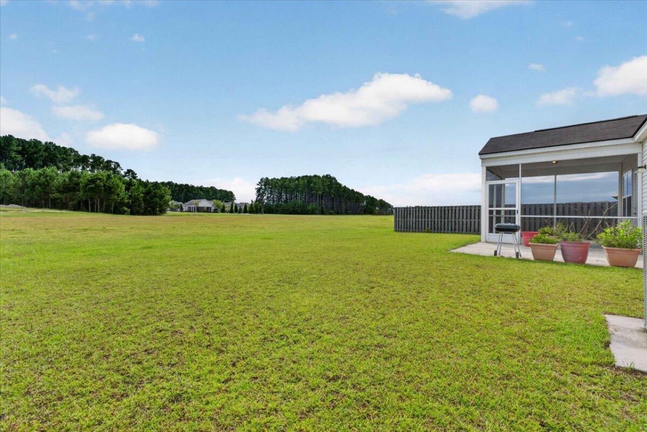 454 Sanctuary Park Drive Photo 27