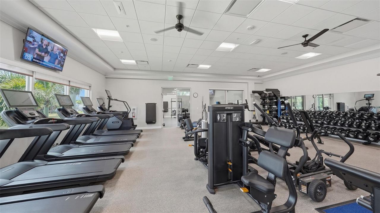 362 Macewen Drive, Osprey, FL 34229 Photo