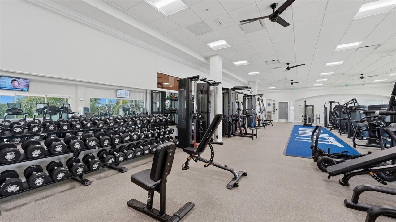 362 Macewen Drive, Osprey, FL 34229 Photo