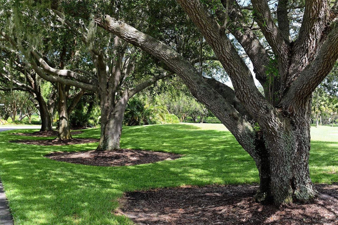 362 Macewen Drive, Osprey, FL 34229 Photo