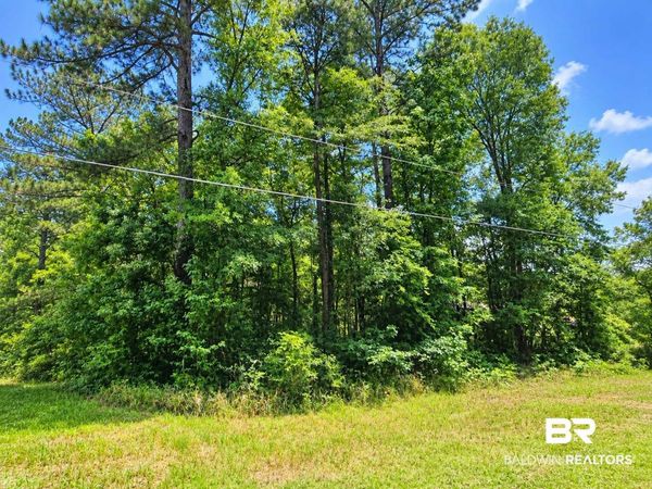 0 Denny Street, Mount Vernon, AL 36560